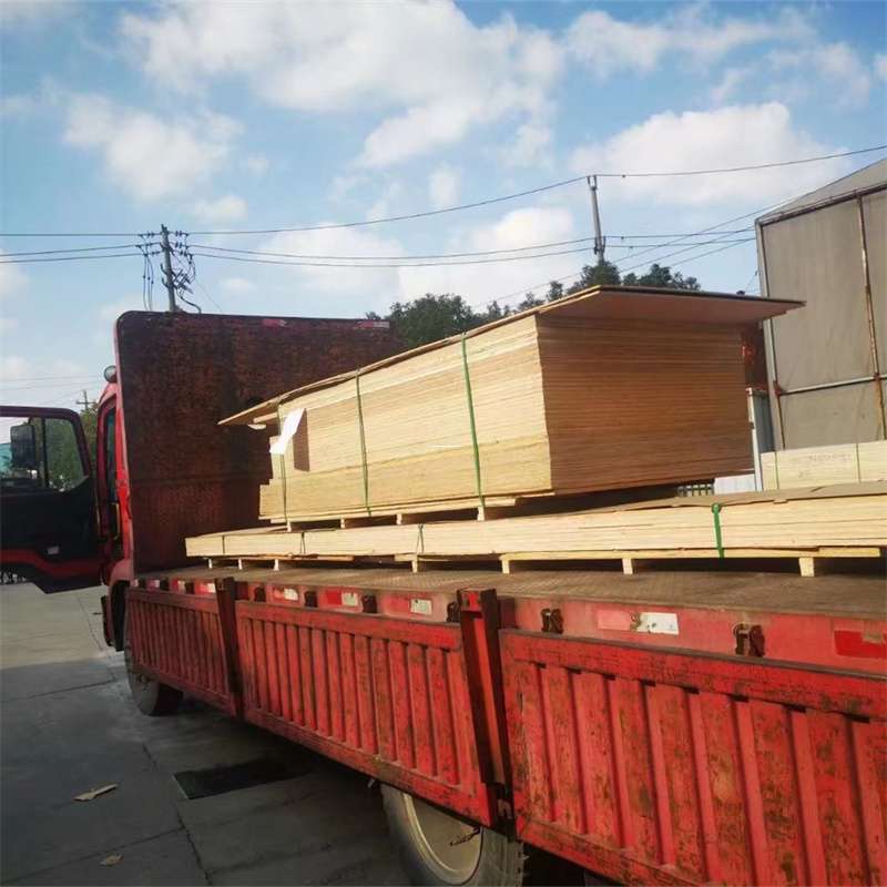 江西上饶婺源县至塔城货运专线，一站式物流服务助您成功